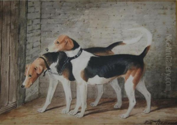 Coupled Fox Hounds Oil Painting by William Barraud