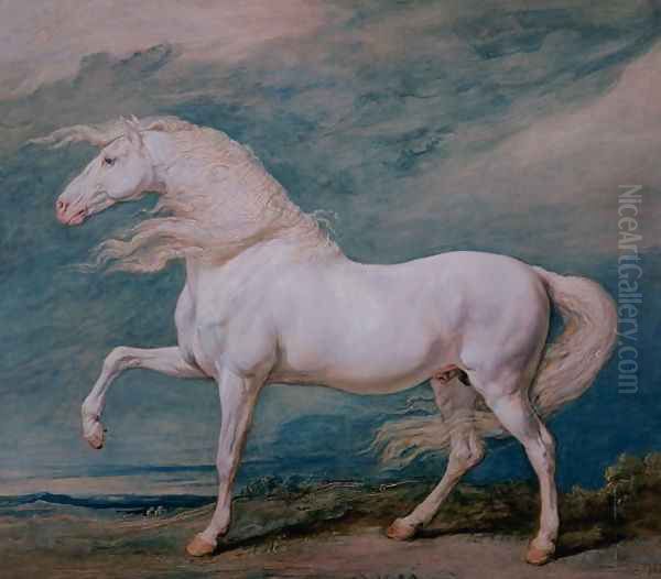 Adonis, a white stallion Oil Painting by James Ward