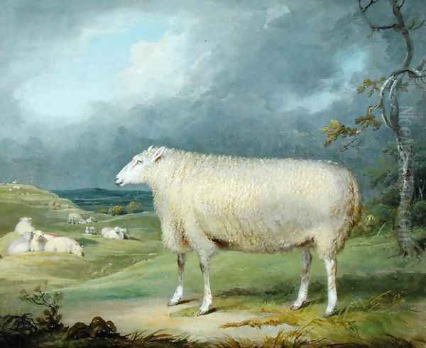 A Border Leicester Ewe Oil Painting by James Ward