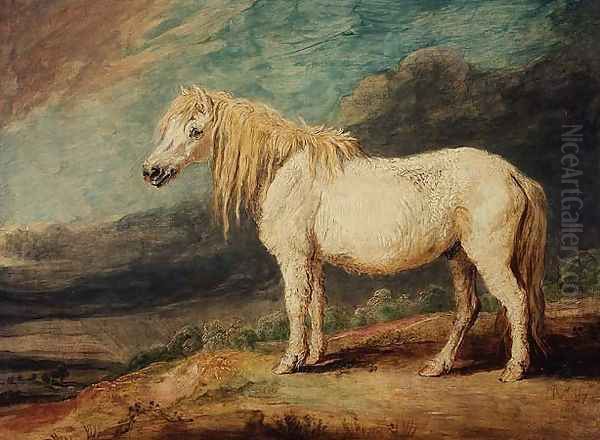 Shetland Pony Oil Painting by James Ward