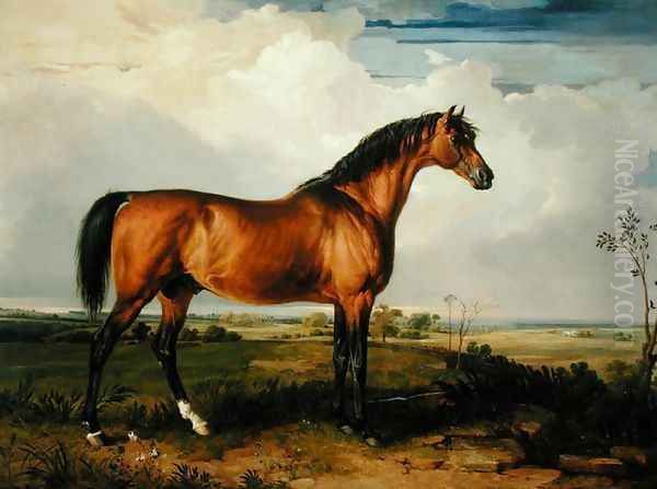 Eagle, a Celebrated Stallion Oil Painting by James Ward