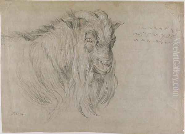 Study of the Head of a Ram Oil Painting by James Ward