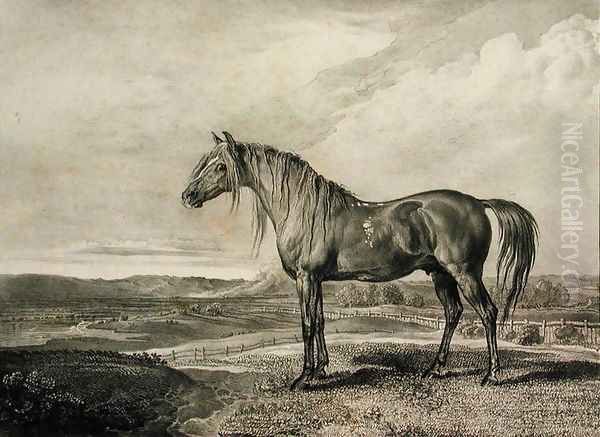 Copenhagen, from Celebrated Horses, a set of fourteen racing prints published by the artist, 1823-24 Oil Painting by James Ward