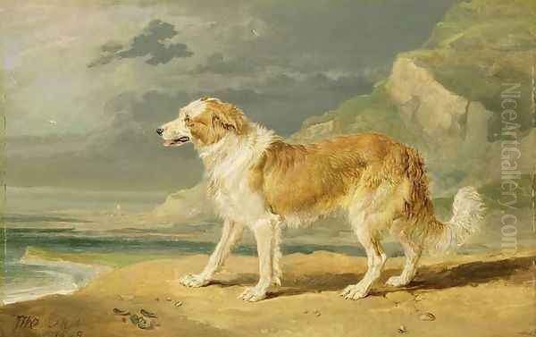 Rough-coated Collie, 1809 Oil Painting by James Ward