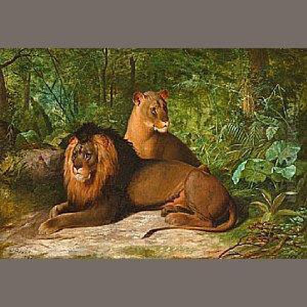 Lion And Lioness Oil Painting by James Henry Beard