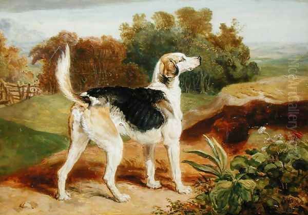 Ravager, one of the Lambton Hounds Oil Painting by James Ward