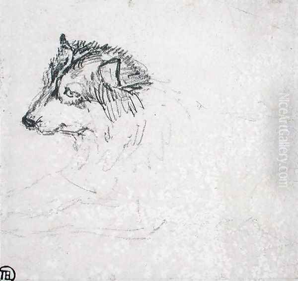 Arctic dog, facing left Oil Painting by James Ward