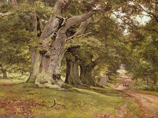 The Oak's Massive Trunk, Aldermaston Park, Berkshire, 1912 Oil Painting by Edward Wilkins Waite