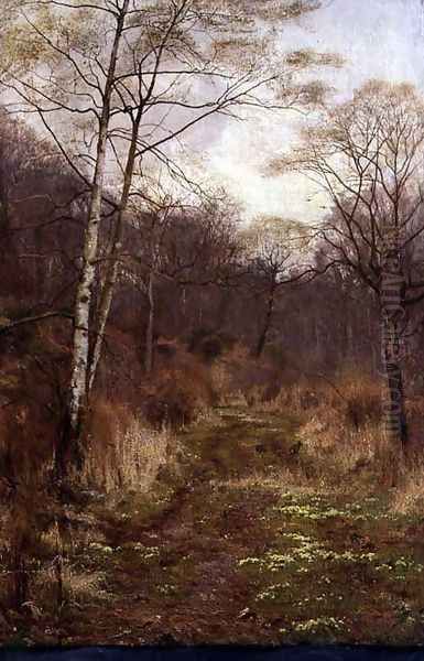 A Woodland Path in Spring, 1891 Oil Painting by Edward Wilkins Waite