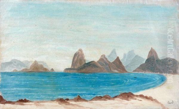 La Baie De Rio De Janeiro Oil Painting by Francois-Auguste Biard