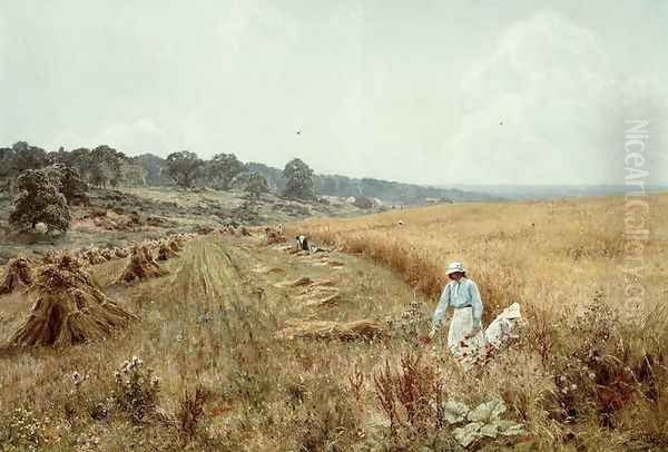 Flower Fringed Cornfields, a view from Abinger Hammer looking towards Hackhurst Downs, Near Dorking, Surrey Oil Painting by Edward Wilkins Waite