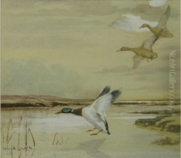 Mallards Landing Oil Painting by Binks, R. Ward