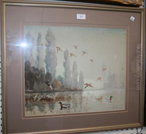 Mallards Dropping In Oil Painting by Binks, R. Ward