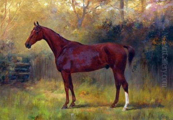 Portrait Of Randy - Horse Owned By Mr Joseph Storey Oil Painting by Thomas Blinks