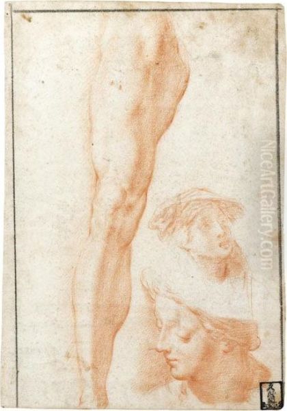 A Study Of A Leg And Two Separate Head Studies Oil Painting by Abraham Bloemaert