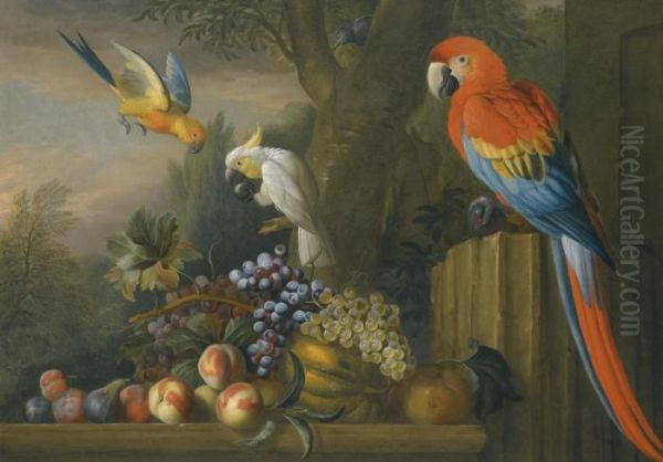 A Still Life With Fruit, Parrots And A Cockatoo Oil Painting by Jakob Bogdani Eperjes C