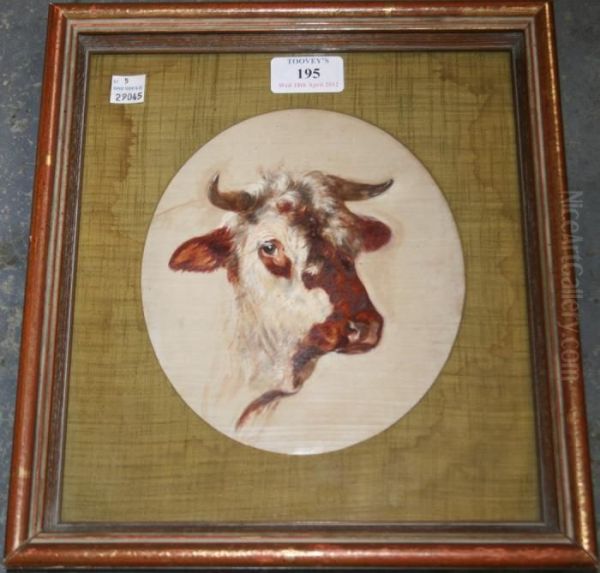 Oval Study Of A Cow's Head Oil Painting by Rosa Bonheur