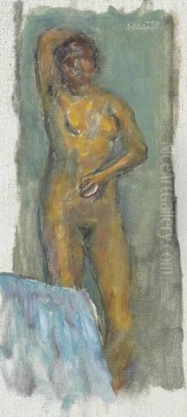 Nu Debout Oil Painting by Pierre Bonnard