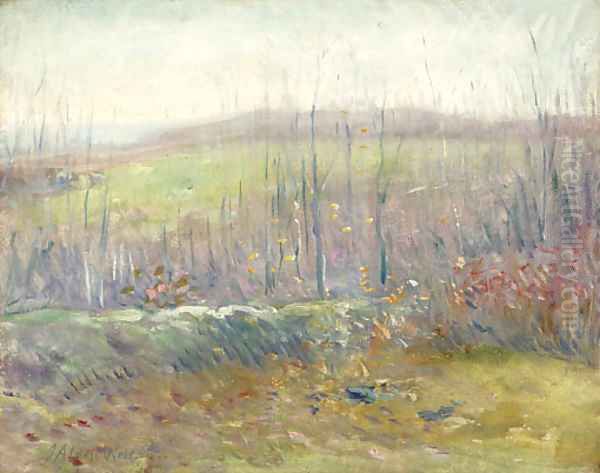 Landscape with Trees and Field Oil Painting by Julian Alden Weir