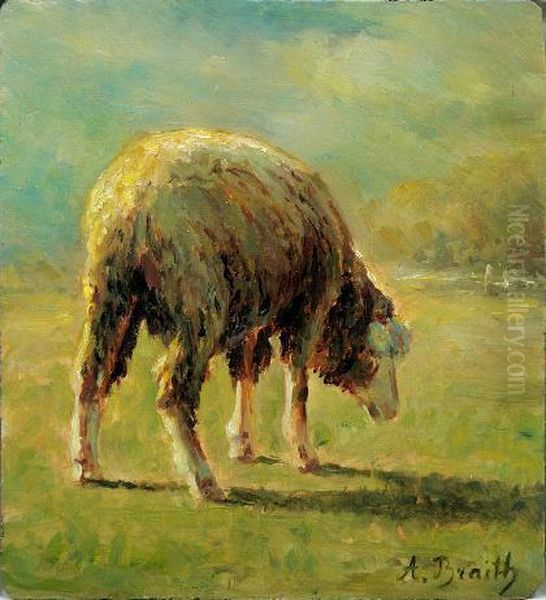 Grasendes Schaf Oil Painting by Anton Braith