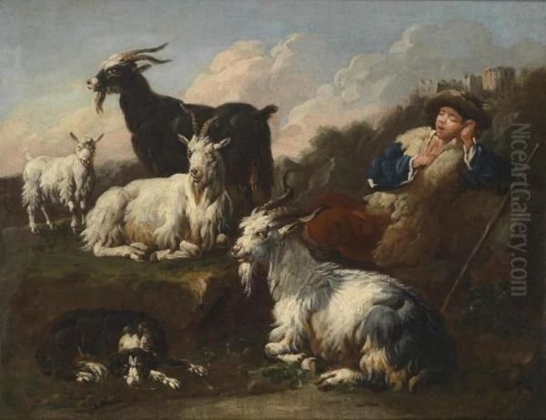 A Herd Of Goats With A Sleeping Shepherd Oil Painting by Domenico Brandi