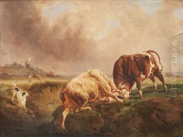 Combat De Taureaux Oil Painting by Jacques Raymond Bracassat