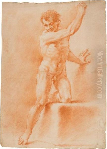 Nudo Virile Oil Painting by Jacopo Alessandro Calvi Il Sordino