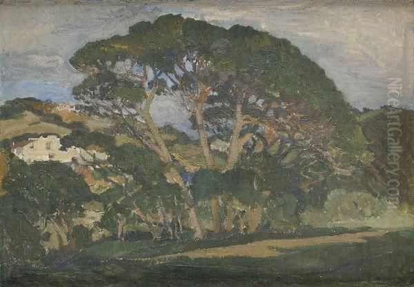 Arbres En Foret Oil Painting by Leon Cauvy