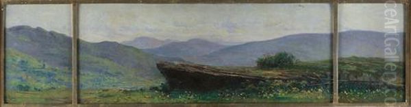 Paesaggio Montano Oil Painting by Luigi Clara