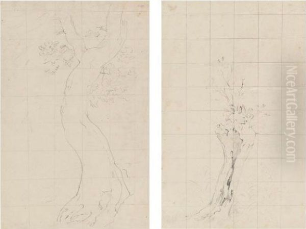 Tree Study For Helmingham Dell Oil Painting by John Constable