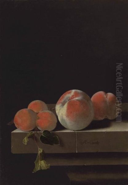 Peaches And Apricots On A Stone Ledge Oil Painting by Adriaen Coorte