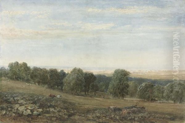 Bodelwyddan Near St Asaph In The Vale Of Clwyd, North Wales Oil Painting by David I Cox