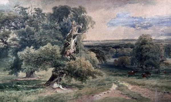 Wooded Valley Landscape With 
Gnarled Tree To Foreground And Cattle In Meadow To Middle Distance Oil Painting by David I Cox