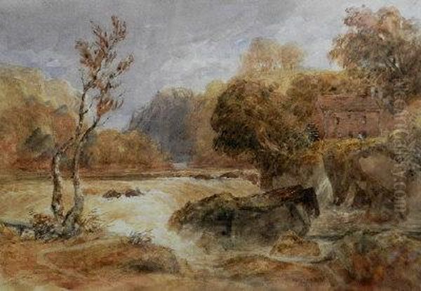 Cenarth Falls On The River Teifi, Cardiganshire Oil Painting by David I Cox