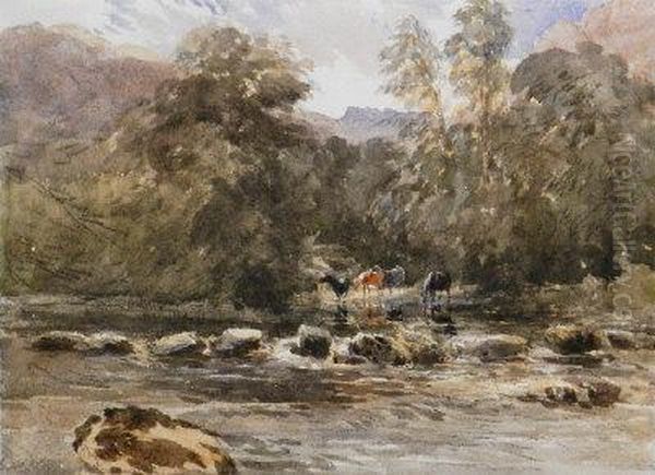 Cattle Watering In A Wooded River Landscape Oil Painting by David I Cox