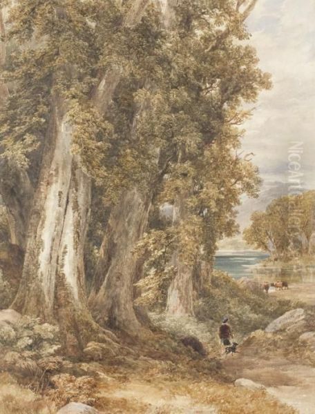 The Woodland Edge Oil Painting by David Cox