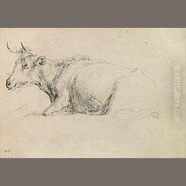 A Study Of A Cow Oil Painting by Aelbert Cuyp