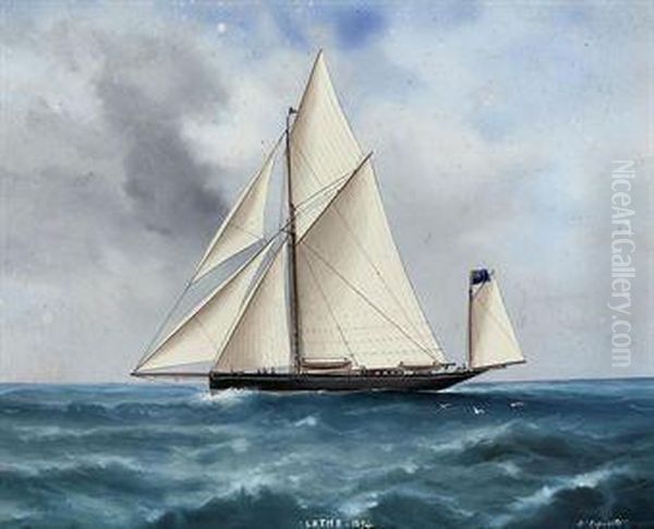 The Racing Yawl Oil Painting by Vincenzo D Esposito