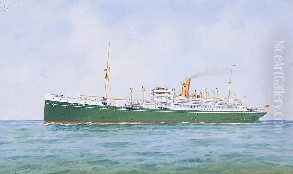 Ss Moreton Bay On Open Waters Oil Painting by Vincenzo D Esposito