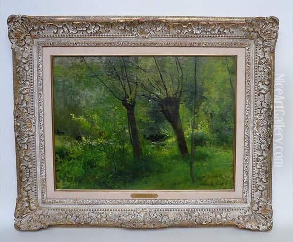 Le Vieux Saule A Gasny Oil Painting by Cesar De Cock