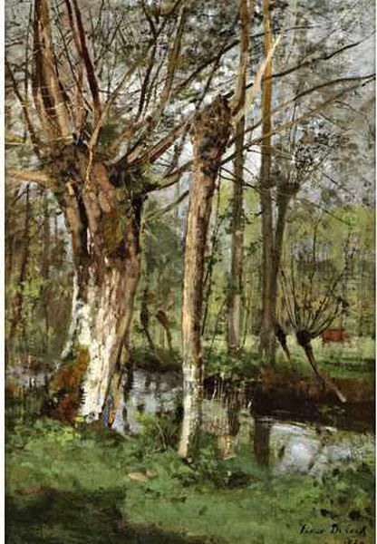 Le Vieux Saule Agasny Oil Painting by Cesar De Cock