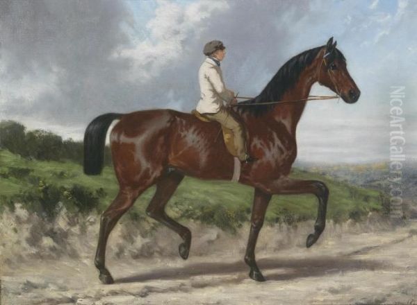 Circle Riding Out Oil Painting by Alfred De Dreux