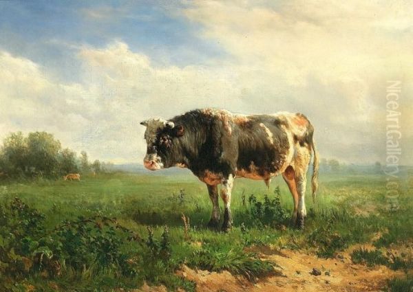 Stier Auf Sommerlicher Weide Oil Painting by Johannes-Hubertus-Leonardus de Haas