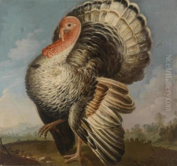 A Male And A Female Turkey Against Landscape Backdrops Oil Painting by Johann Georg Hamilton