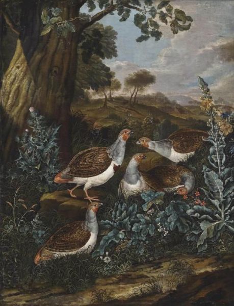 Partridges In A Landscape Oil Painting by Ferdinand Phillip de Hamilton