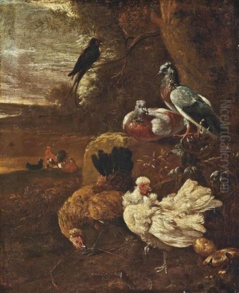 Hens, Pigeons And Other Birds In A Wooded Clearing Oil Painting by Melchior de Hondecoeter