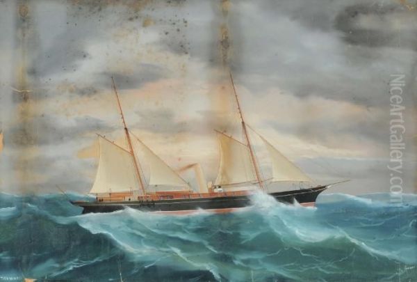 Ritratto Dello Steam Yacht Tighnamara In Mare Aperto Oil Painting by Antonio de Simone