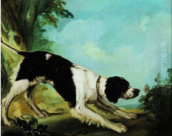 Un Chien A L'arret Oil Painting by Claude Francois Desportes