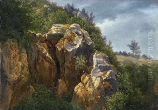 Rochers Oil Painting by Francois Diday