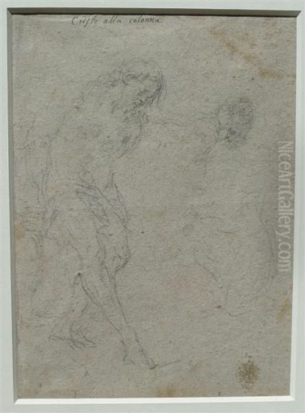 Study For The Flagellation Of Christ Oil Painting by Gaspare Diziani